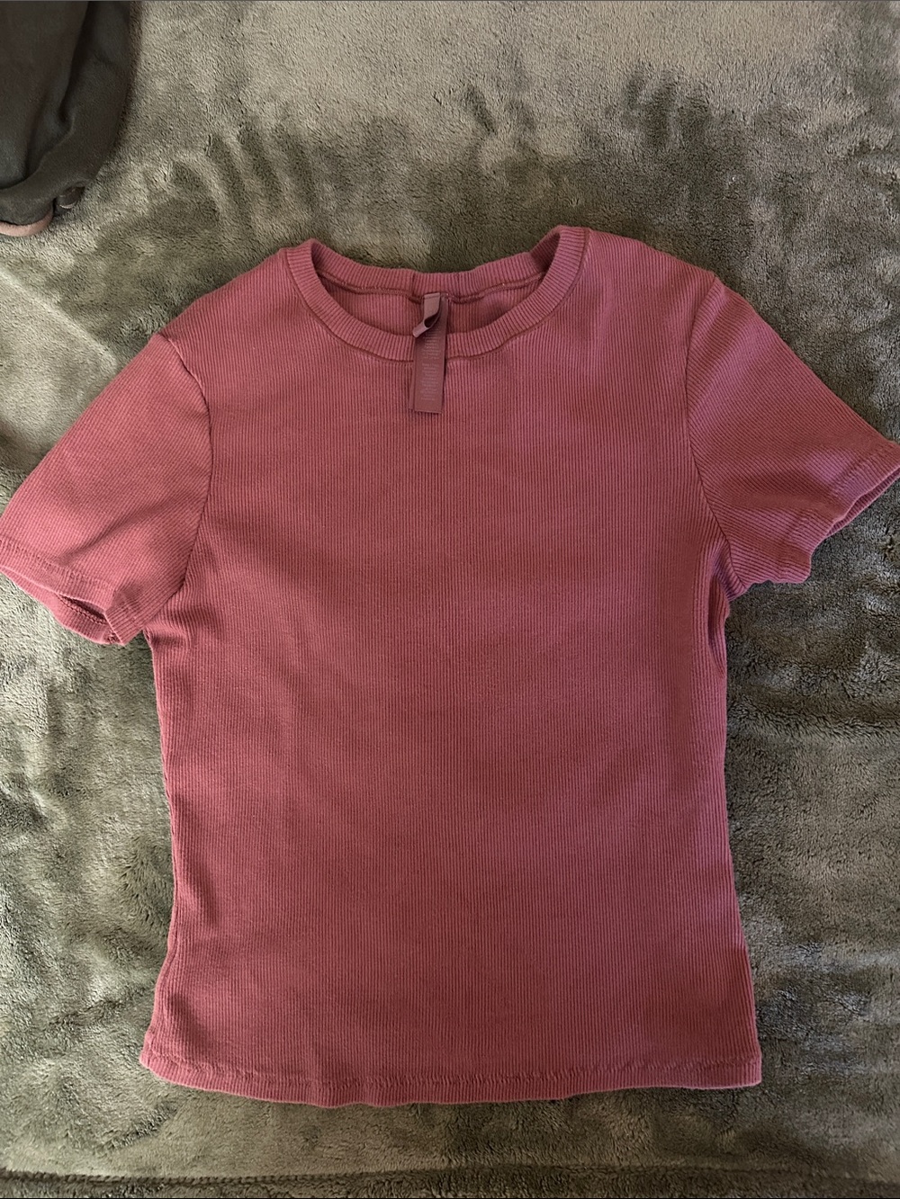SKIMS Cotton Rib Tee Shirt in Redwood